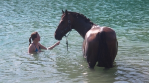 Rehabilitación del caballo en el agua. 