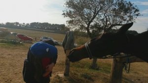 Estiramiento del cuello.