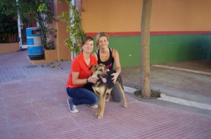 Perros
